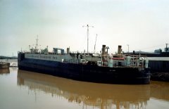 Thumbnail Image for Orion