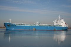 Thumbnail Image for Minerva Joanna