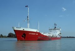 Thumbnail Image for Le Cedre No. 1 oncontextmenu=