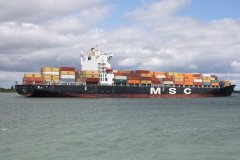 Thumbnail Image for MSC Gina