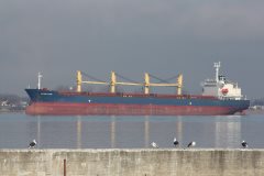 Thumbnail Image for Golden Elpis