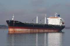 Thumbnail Image for Theodosia