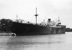 Thumbnail Image for Starstone