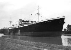 Thumbnail Image for Starstone