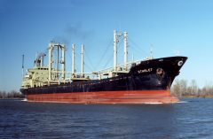 Thumbnail Image for Starlet