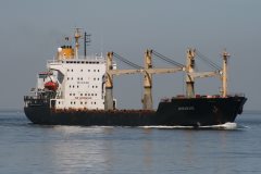 Thumbnail Image for African Kite