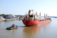 Thumbnail Image for Federal Caribou oncontextmenu=