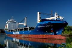 Thumbnail Image for Industrial Skipper oncontextmenu=