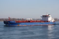 Thumbnail Image for Costanza M oncontextmenu=