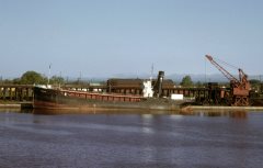 Thumbnail Image for Starbelle oncontextmenu=