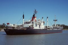 Thumbnail Image for Santa Ursula