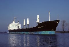 Thumbnail Image for Tarpon Star