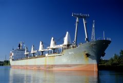 Thumbnail Image for Rays oncontextmenu=