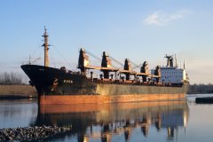 Thumbnail Image for Rhea oncontextmenu=