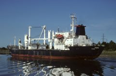 Thumbnail Image for Triena