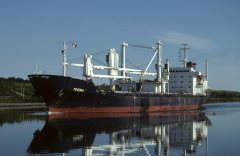 Thumbnail Image for Triena