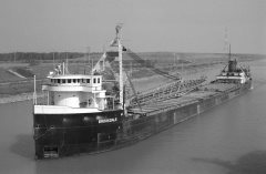 Thumbnail Image for Brookdale