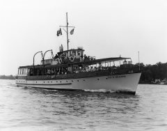 Thumbnail Image for Duc D'Orleans