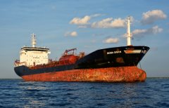 Thumbnail Image for Mona Swan