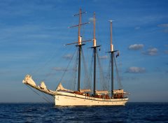 Thumbnail Image for Empire Sandy oncontextmenu=