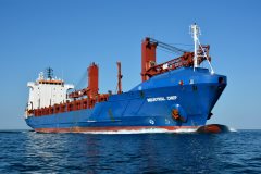 Thumbnail Image for Industrial Chief