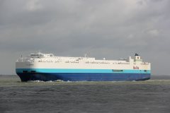 Thumbnail Image for A Ladybug