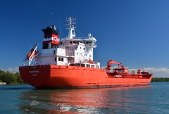 Thumbnail Image for Algoterra oncontextmenu=