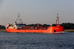 Thumbnail Image for Alcedo