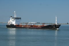 Thumbnail Image for Amak Swan