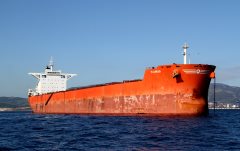 Thumbnail Image for Taurus