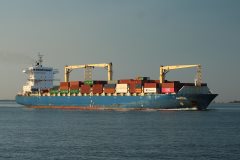 Thumbnail Image for Austral