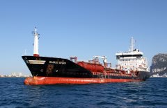 Thumbnail Image for Samus Swan oncontextmenu=