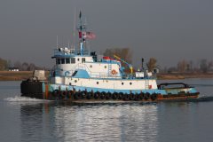 Thumbnail Image for Thomas Dann