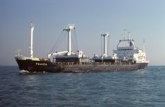 Thumbnail Image for Falkön