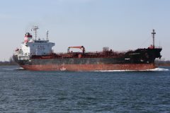 Thumbnail Image for MTM Westport oncontextmenu=