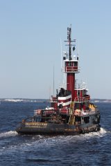 Thumbnail Image for Colleen McAllister style=