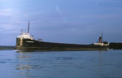 Thumbnail Image for Peter Robertson