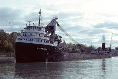 Thumbnail Image for Silverdale oncontextmenu=