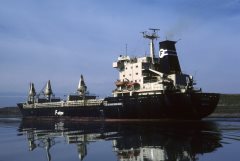 Thumbnail Image for Lotila oncontextmenu=