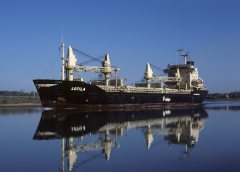 Thumbnail Image for Lotila oncontextmenu=