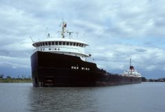 Thumbnail Image for Red Wing