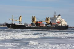 Thumbnail Image for Atlantic Nyala oncontextmenu=