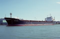 Thumbnail Image for Sagittarius