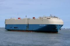 Thumbnail Image for Carnation Ace oncontextmenu=