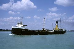 Thumbnail Image for Mancox