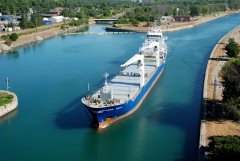 Thumbnail Image for Thorco Arctic