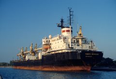 Thumbnail Image for Pavel Vavilov