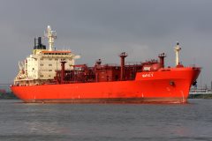 Thumbnail Image for Maple 3