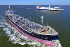 Thumbnail Image for Oriental Rose