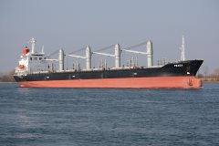 Thumbnail Image for Fraga oncontextmenu=